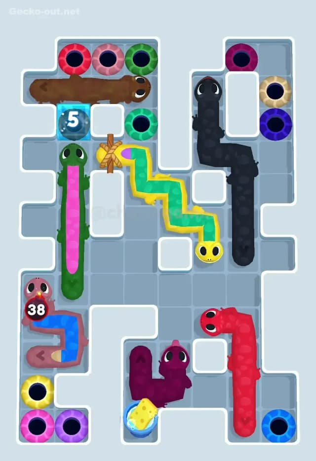 Gecko Out Level 500 Solution 2