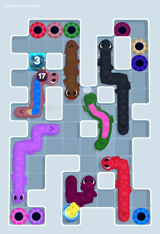 Gecko Out Level 500 Solution 3