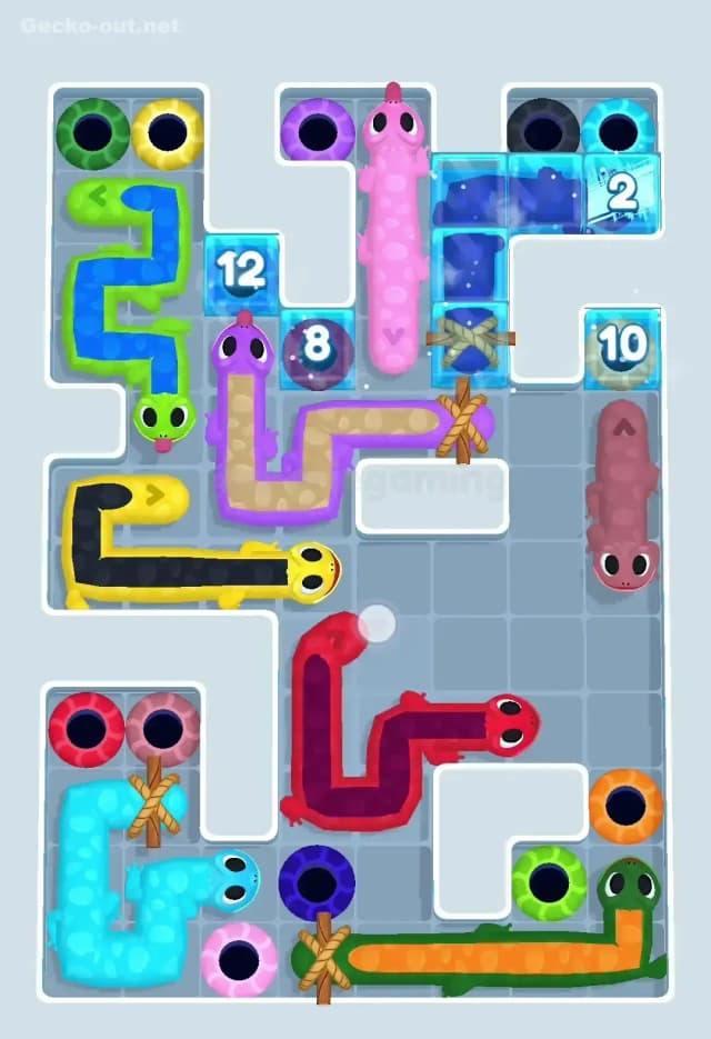 Gecko Out Level 498 Solution 1