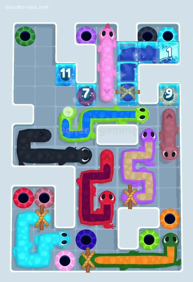 Gecko Out Level 498 Solution 2