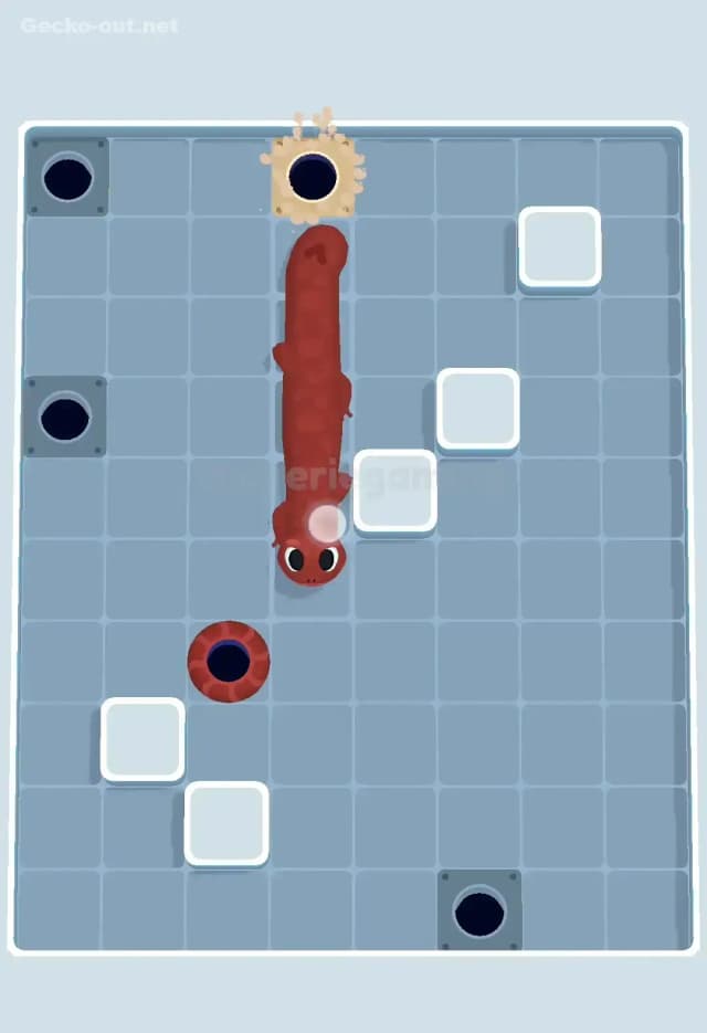 Gecko Out Level 496 Solution 3