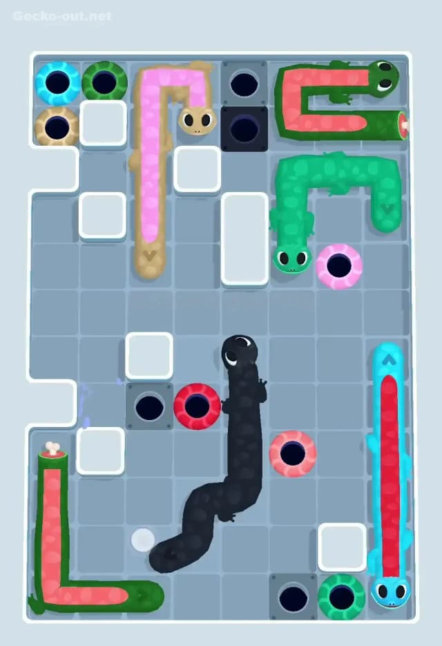 Gecko Out Level 495 Solution 2