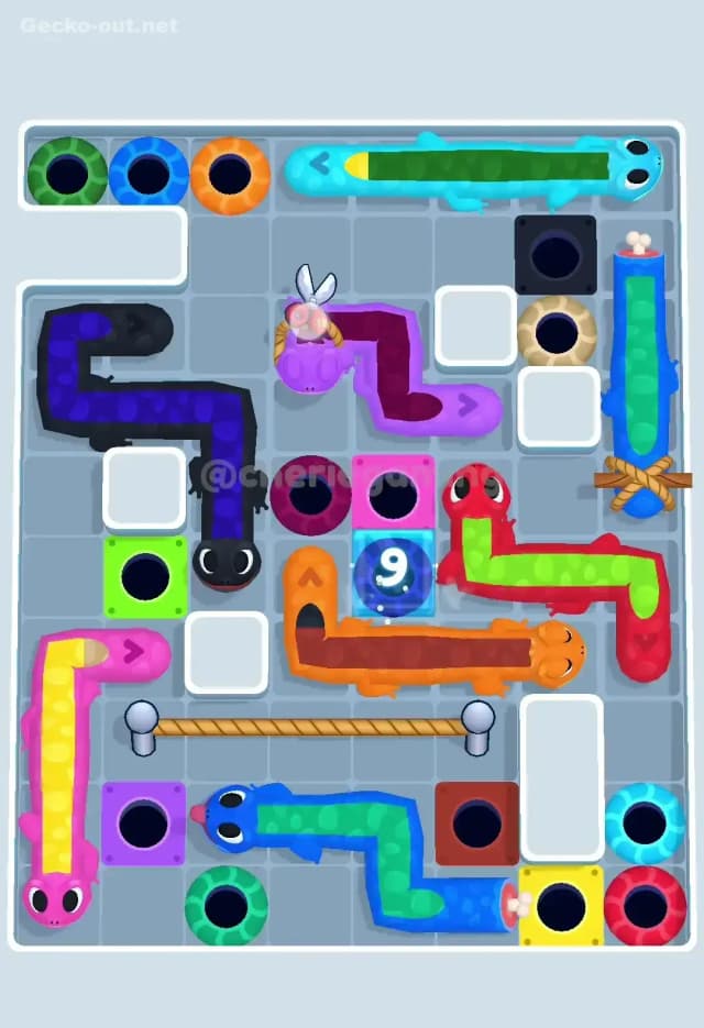 Gecko Out Level 488 Solution 1