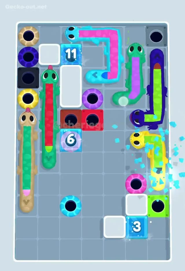 Gecko Out Level 484 Solution 3