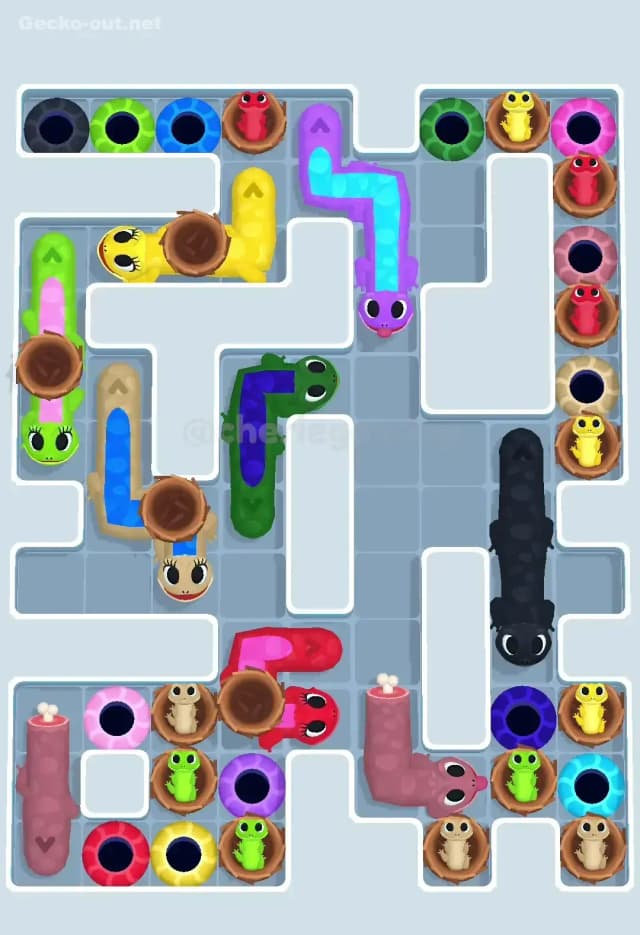 Gecko Out Level 646 Solution 1