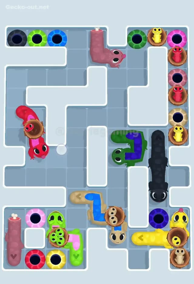 Gecko Out Level 646 Solution 3