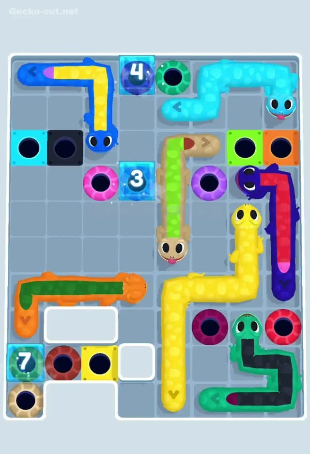 Gecko Out Level 427 Solution 3