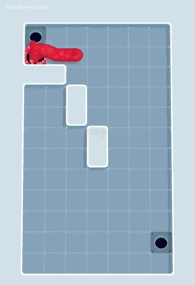 Gecko Out Level 407 Solution 3