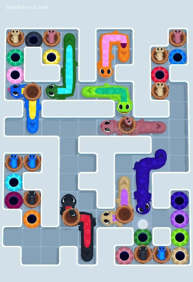 Gecko Out Level 644 Solution 1