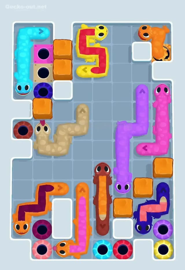 Gecko Out Level 402 Solution 3