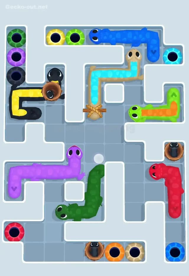 Gecko Out Level 643 Solution 3