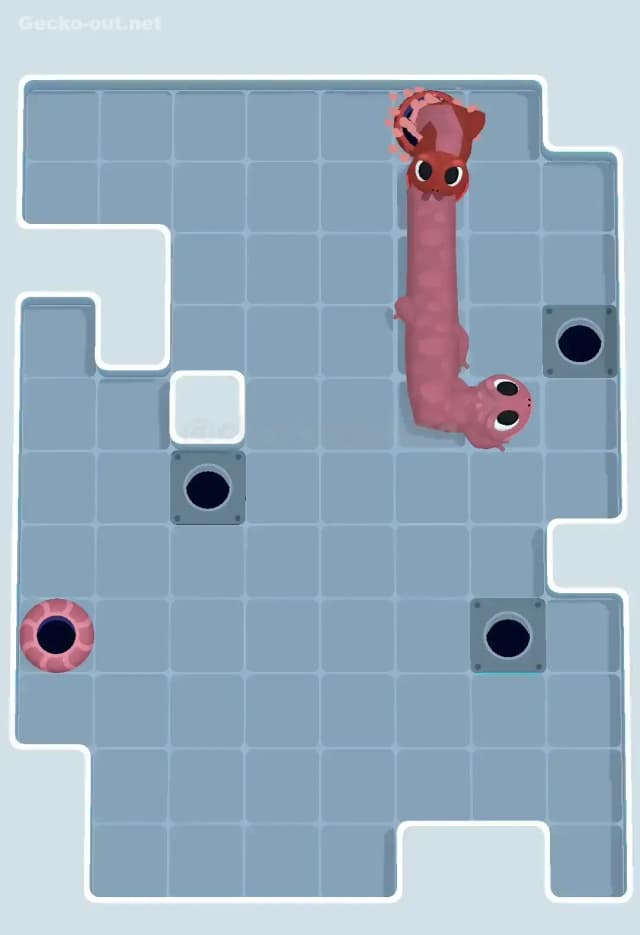 Gecko Out Level 386 Solution 3