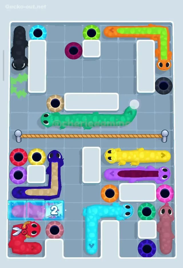 Gecko Out Level 383 Solution 1