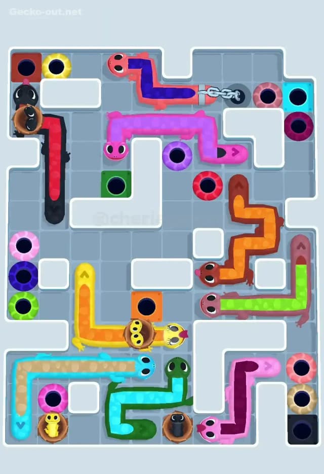 Gecko Out Level 635 Solution 1