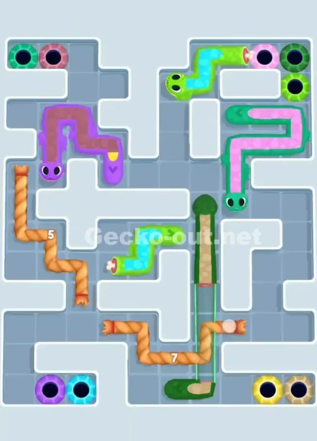 Gecko Out Level 1020 Solution 2