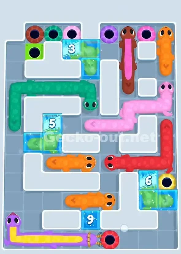 Gecko Out Level 917 Solution 2