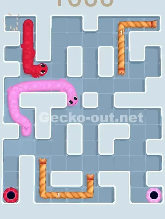 Gecko Out Level 1000 Solution 3