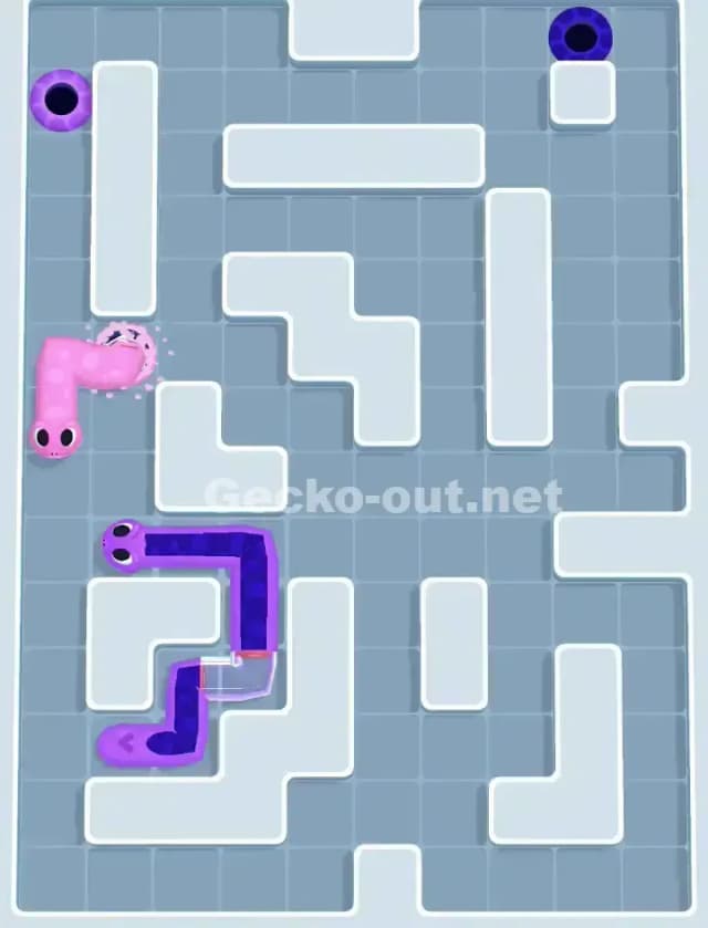 Gecko Out Level 1029 Solution 3