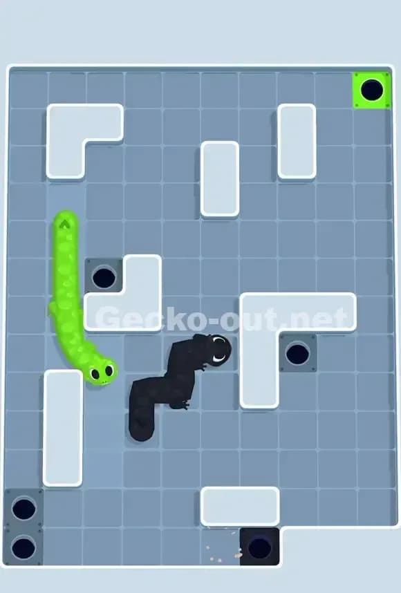 Gecko Out Level 697 Solution 3