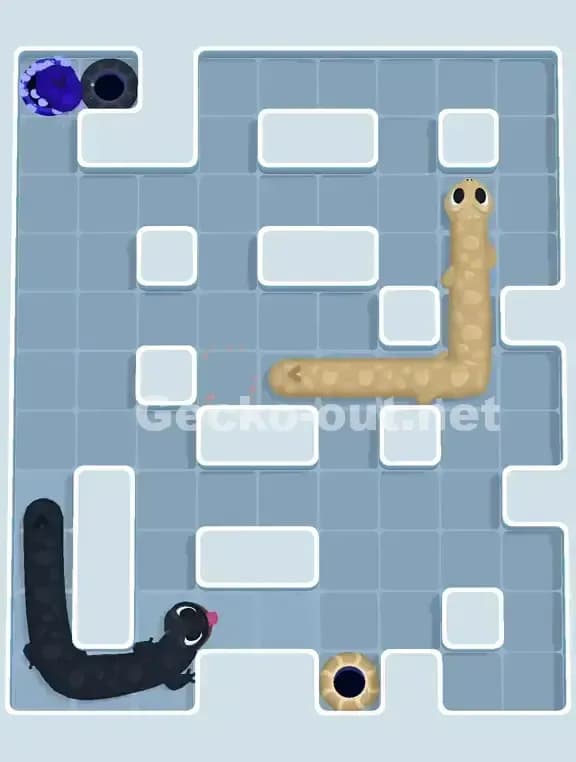 Gecko Out Level 929 Solution 3