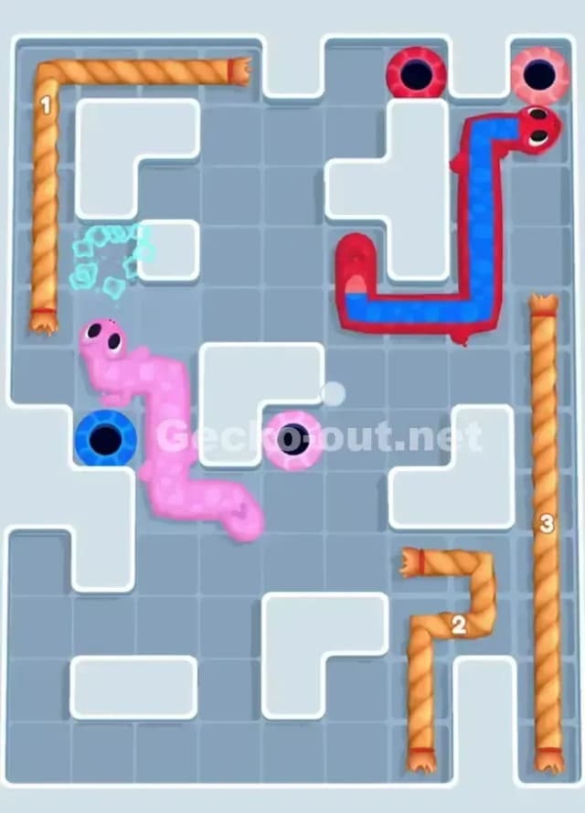 Gecko Out Level 1041 Solution 3