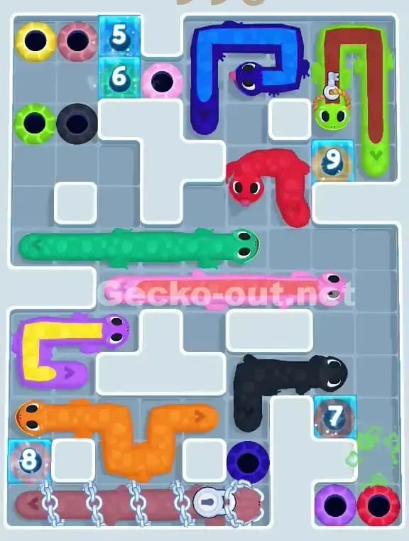 Gecko Out Level 990 Solution 1