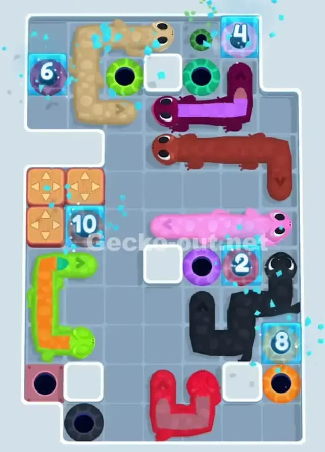 Gecko Out Level 1079 Solution 2