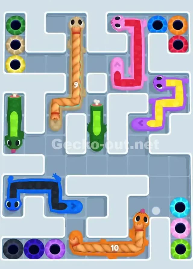 Gecko Out Level 1018 Solution 1