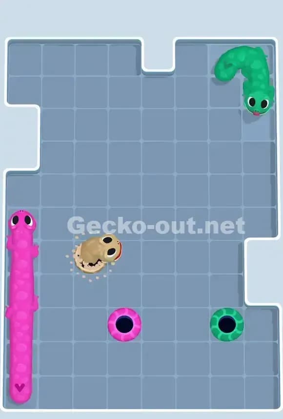 Gecko Out Level 823 Solution 3