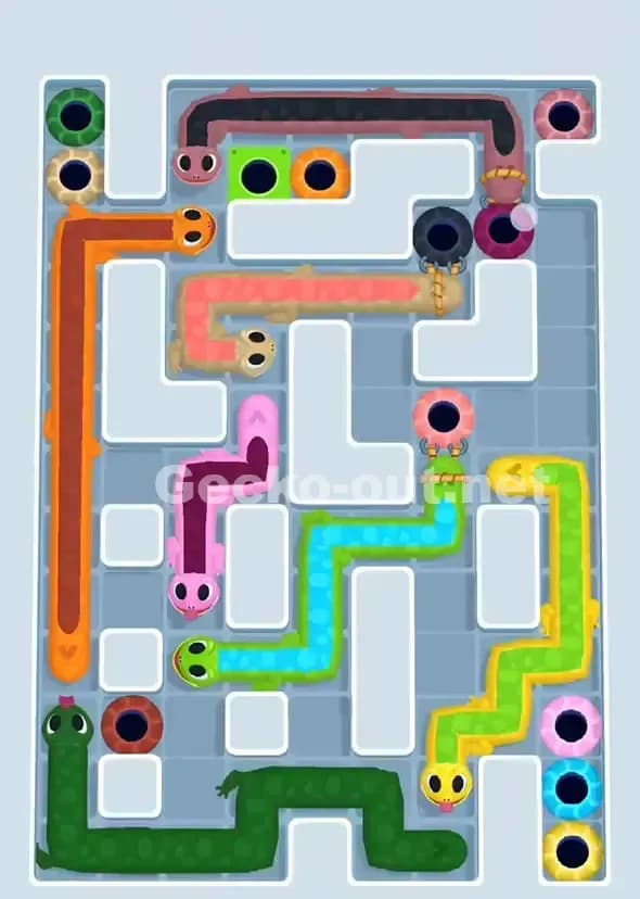 Gecko Out Level 900 Solution 2