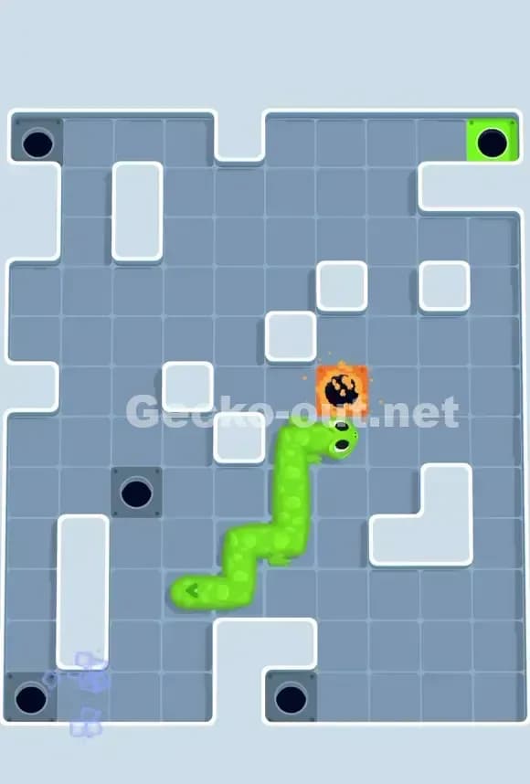 Gecko Out Level 704 Solution 3