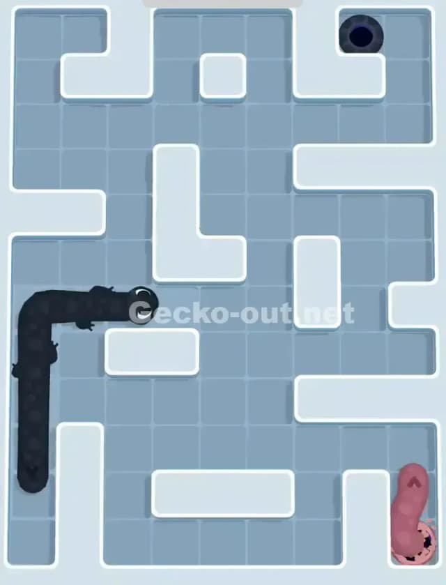 Gecko Out Level 1110 Solution 3