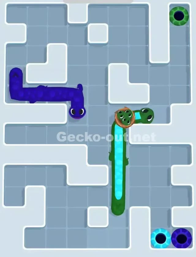 Gecko Out Level 1119 Solution 3