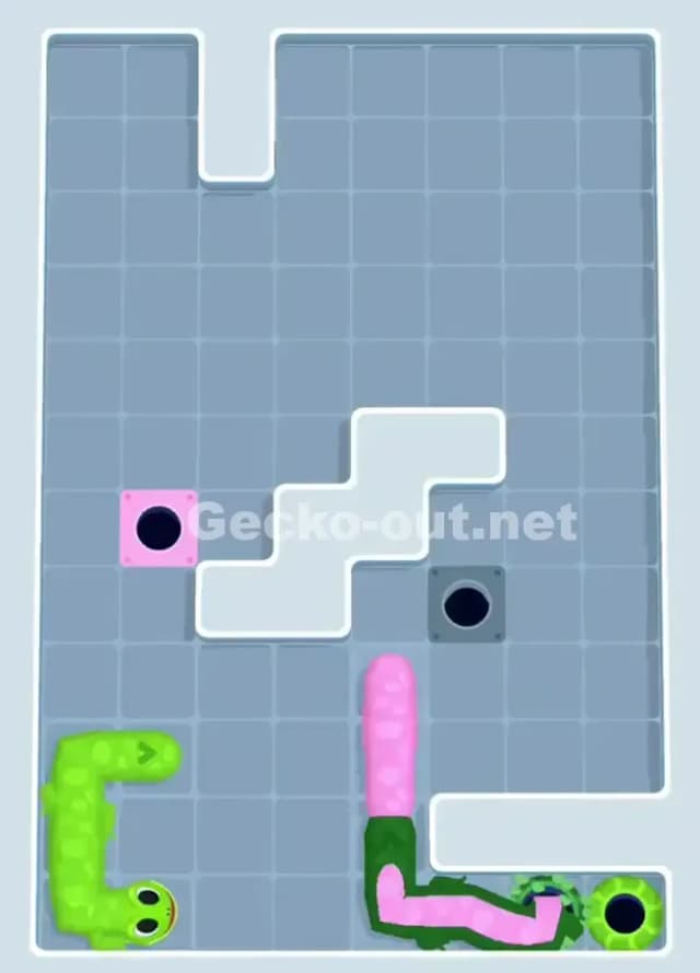 Gecko Out Level 1080 Solution 3