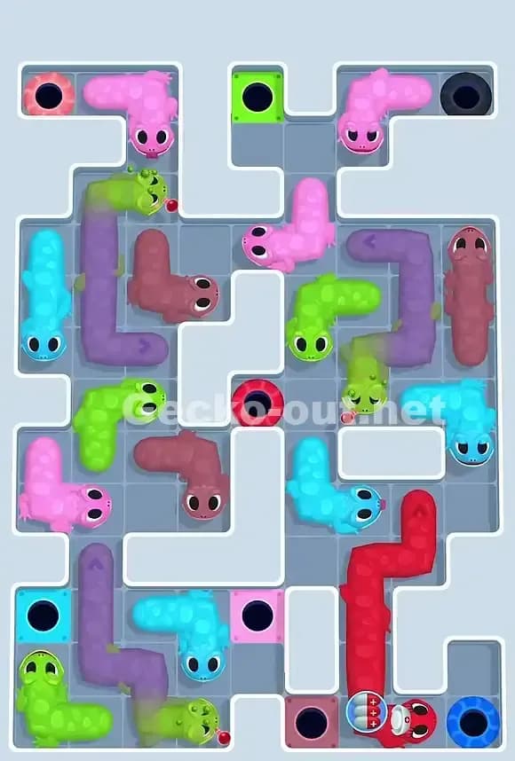 Gecko Out Level 798 Screenshot