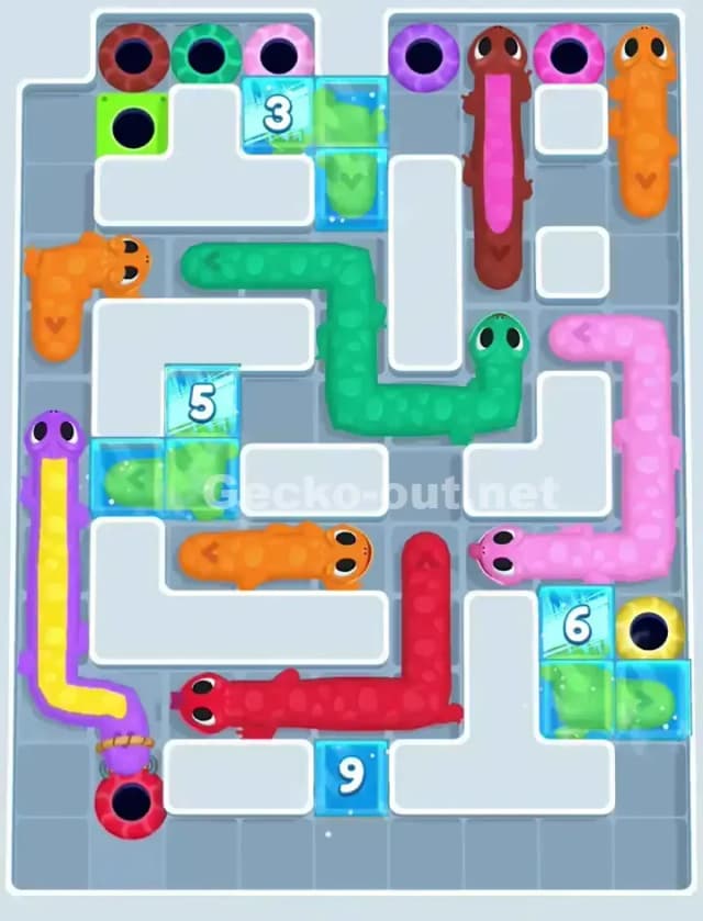 Gecko Out Level 1161 Solution 2