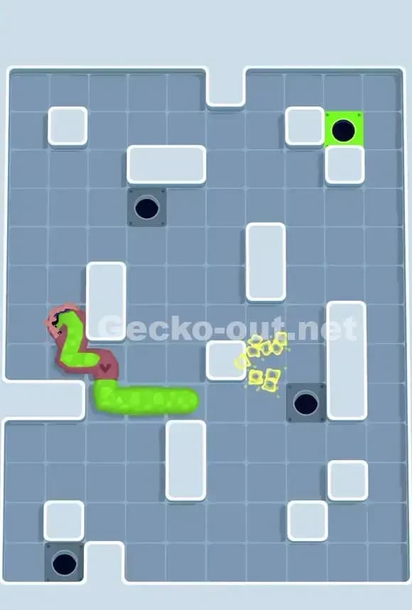 Gecko Out Level 700 Solution 3
