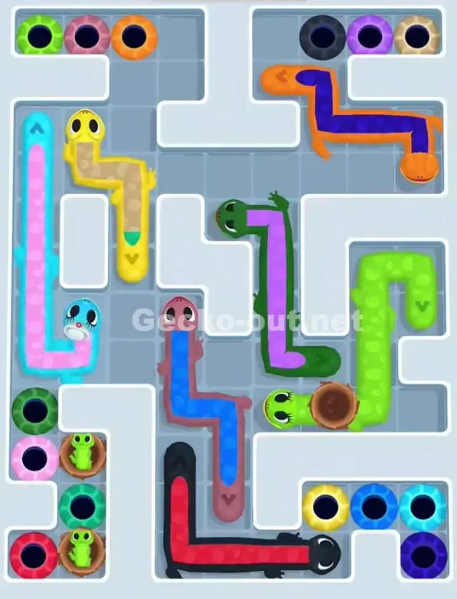 Gecko Out Level 1113 Solution 1