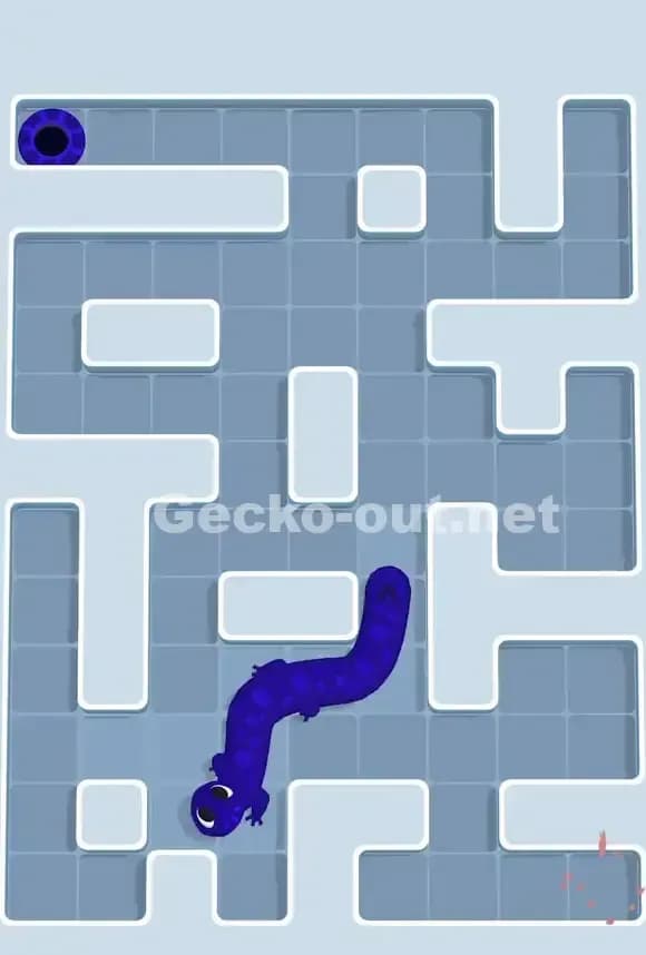 Gecko Out Level 778 Solution 3