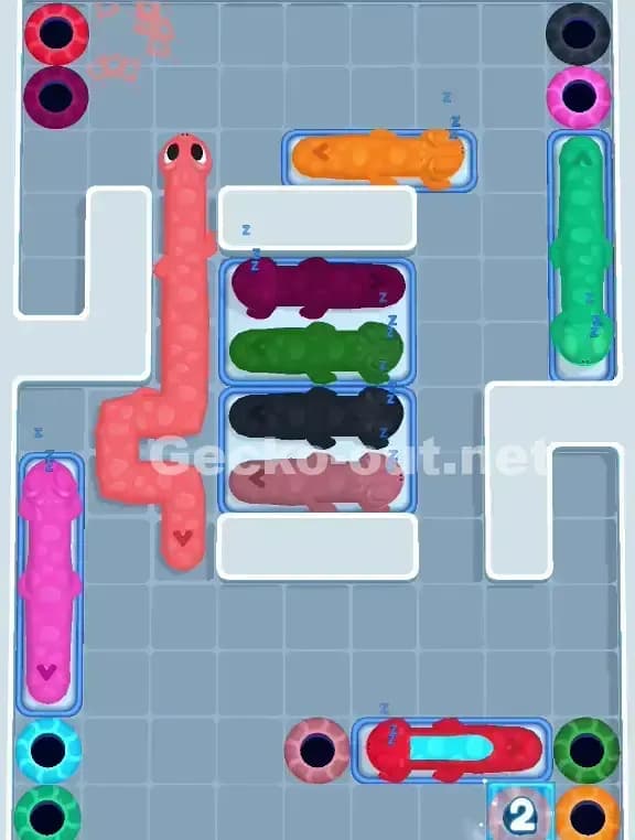 Gecko Out Level 996 Solution 1