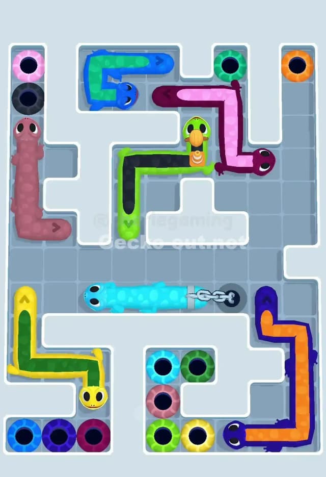 Gecko Out Level 670 Solution 1
