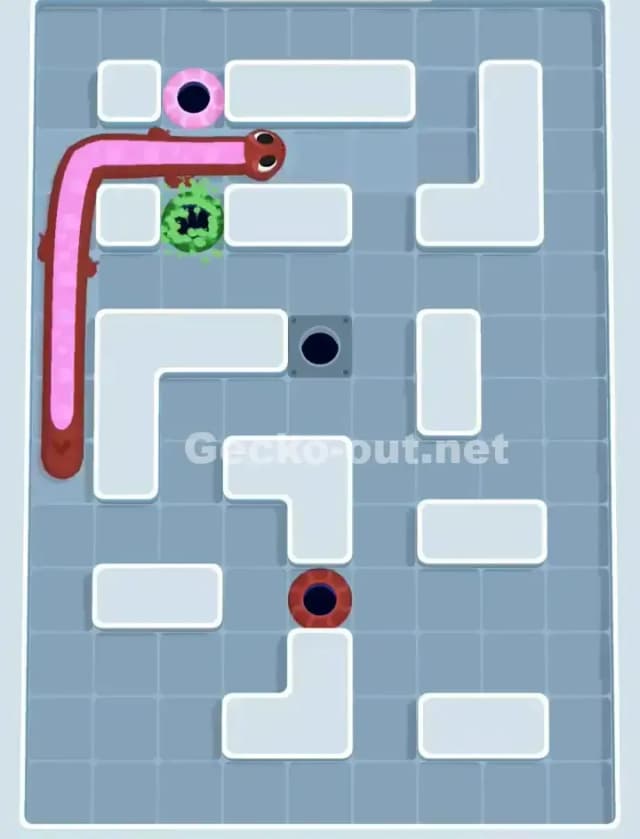 Gecko Out Level 1155 Solution 3