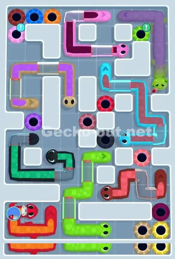 Gecko Out Level 885 Screenshot