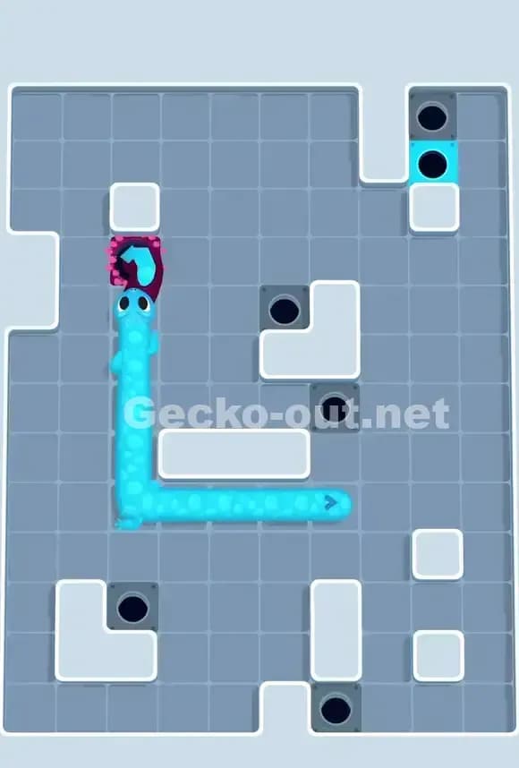 Gecko Out Level 713 Solution 3