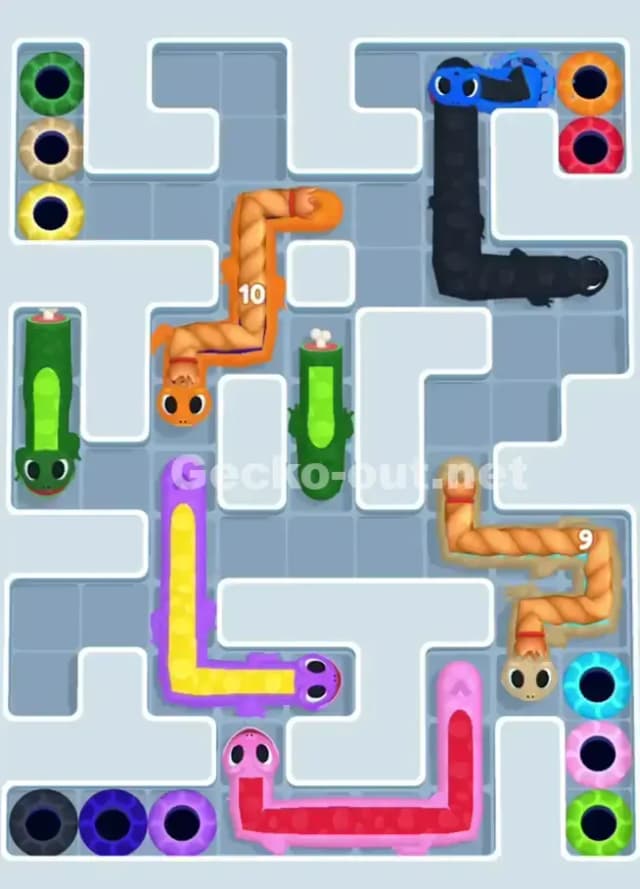 Gecko Out Level 1018 Solution 2