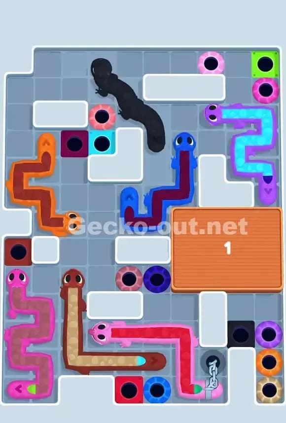 Gecko Out Level 712 Solution 2