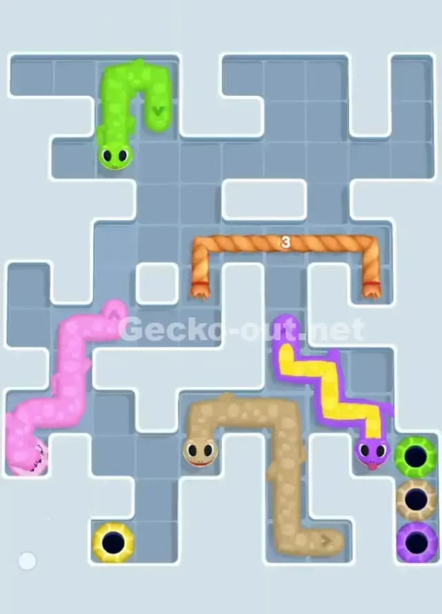 Gecko Out Level 1016 Solution 3