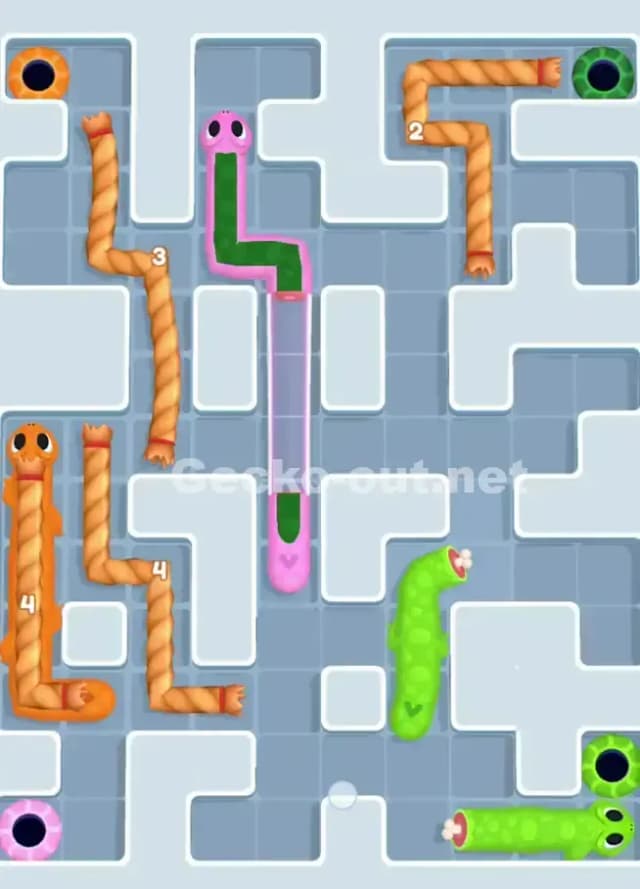 Gecko Out Level 1021 Solution 3