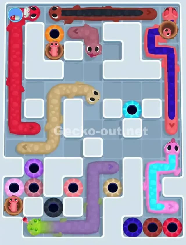 Gecko Out Level 1132 Solution 1