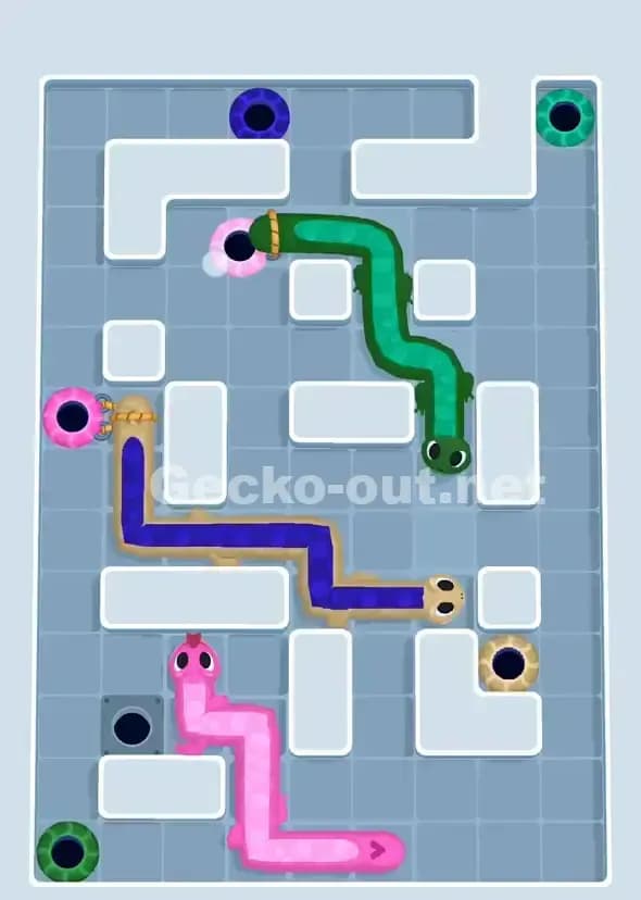 Gecko Out Level 907 Solution 3